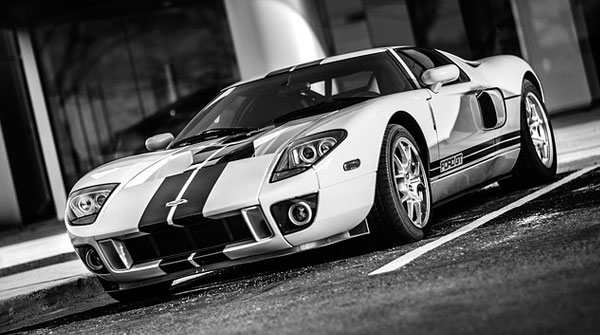 小逗比【会员反馈】